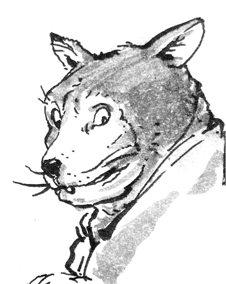 Dessin / Croquis - Image originale 07